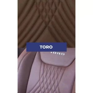 toro-1000x1000h.jpg